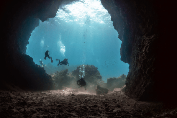 תמונה תת מימית עם מים צלולים בקו לנטה