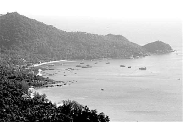 תמונת האי קו טאו - שחור לבן אילוסטרציה מתוך אתר טיול בתאילנד עם סגול
