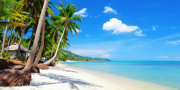 קוסמוי תאילנד - תמונת חוף ים עם עצי דקל, מים צלולים וחול לבן רך ומזמין - סגול סוכנות נסיעות בתאילנד -  מאתר טיול לתאילנד עם סגול סוכנות נסיעות בתאילנד